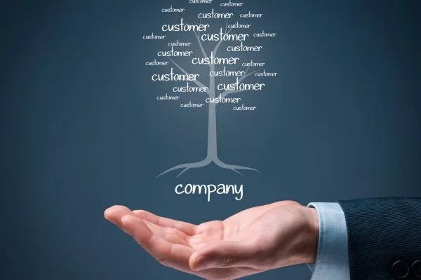 עורך דין פירוק חברות